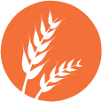 Gluten