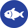 Pescado