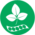 Soja